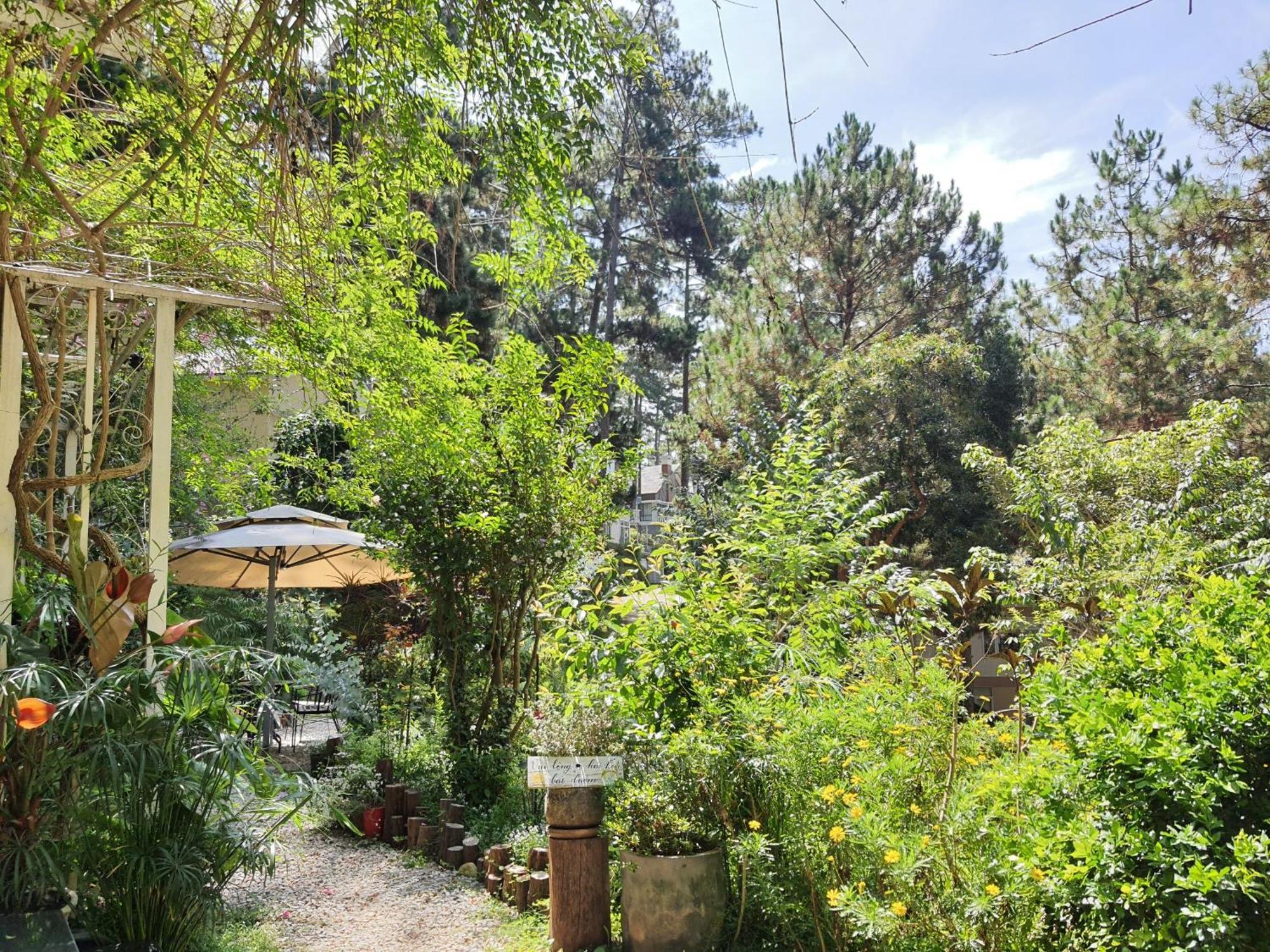 Dahlia Dalat Aparthotel Εξωτερικό φωτογραφία