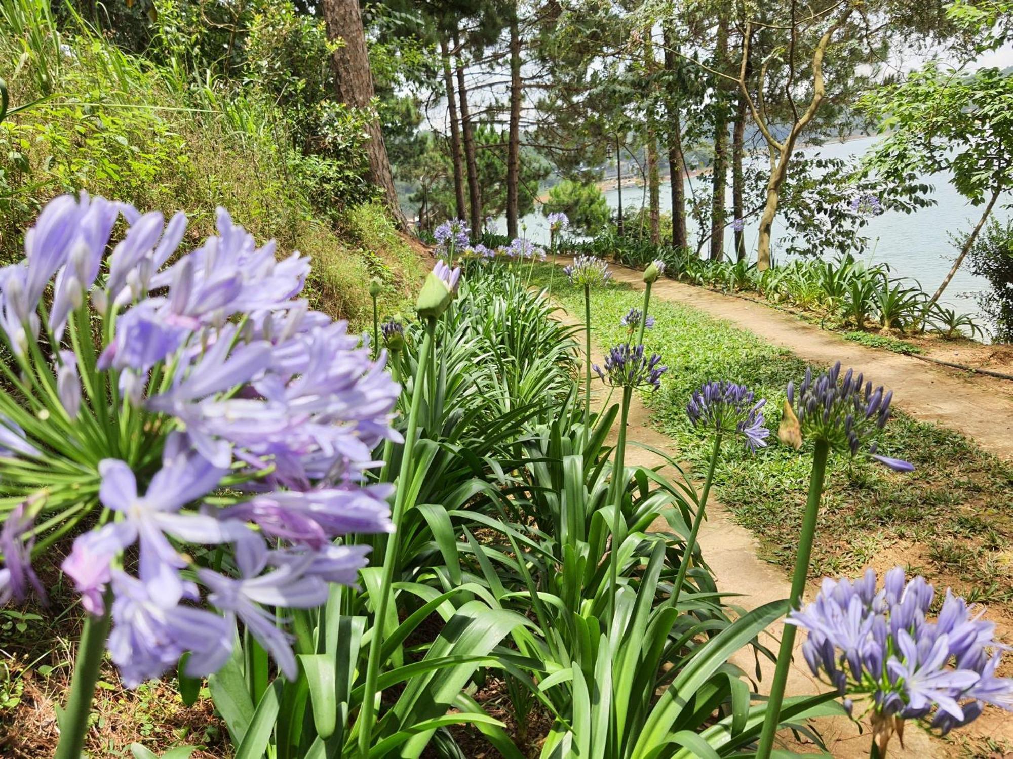Dahlia Dalat Aparthotel Εξωτερικό φωτογραφία
