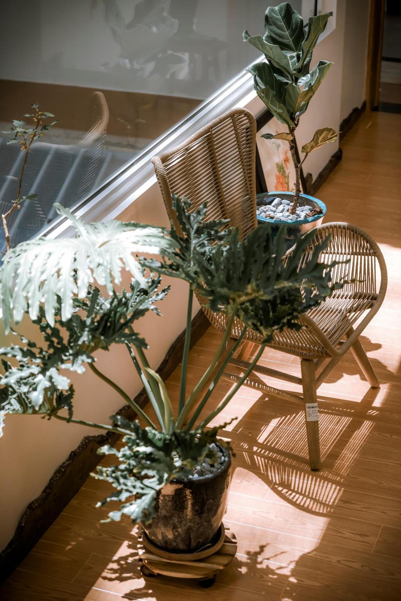Dahlia Dalat Aparthotel Εξωτερικό φωτογραφία