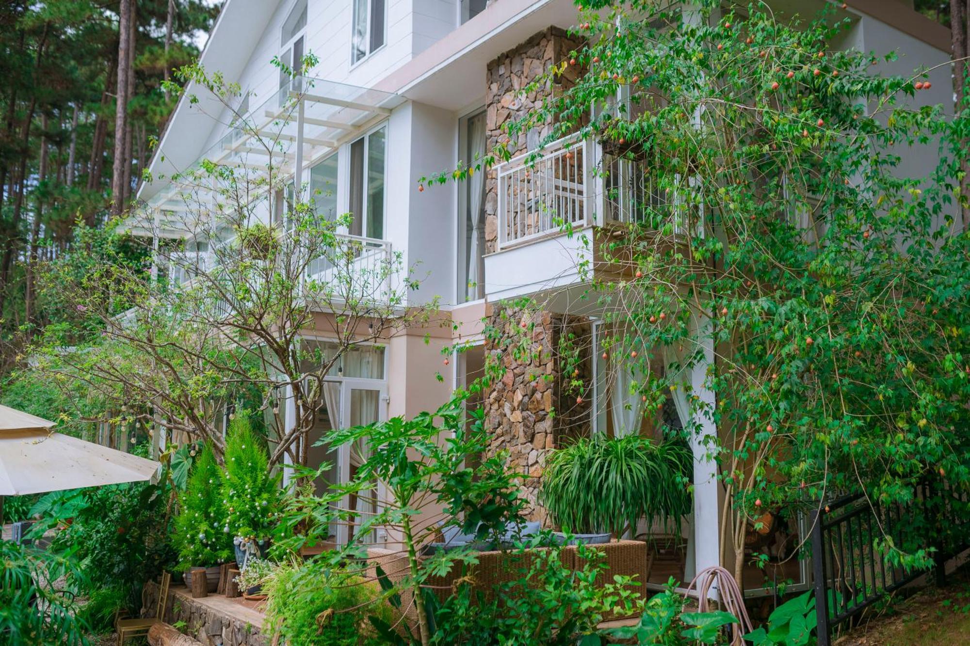Dahlia Dalat Aparthotel Εξωτερικό φωτογραφία