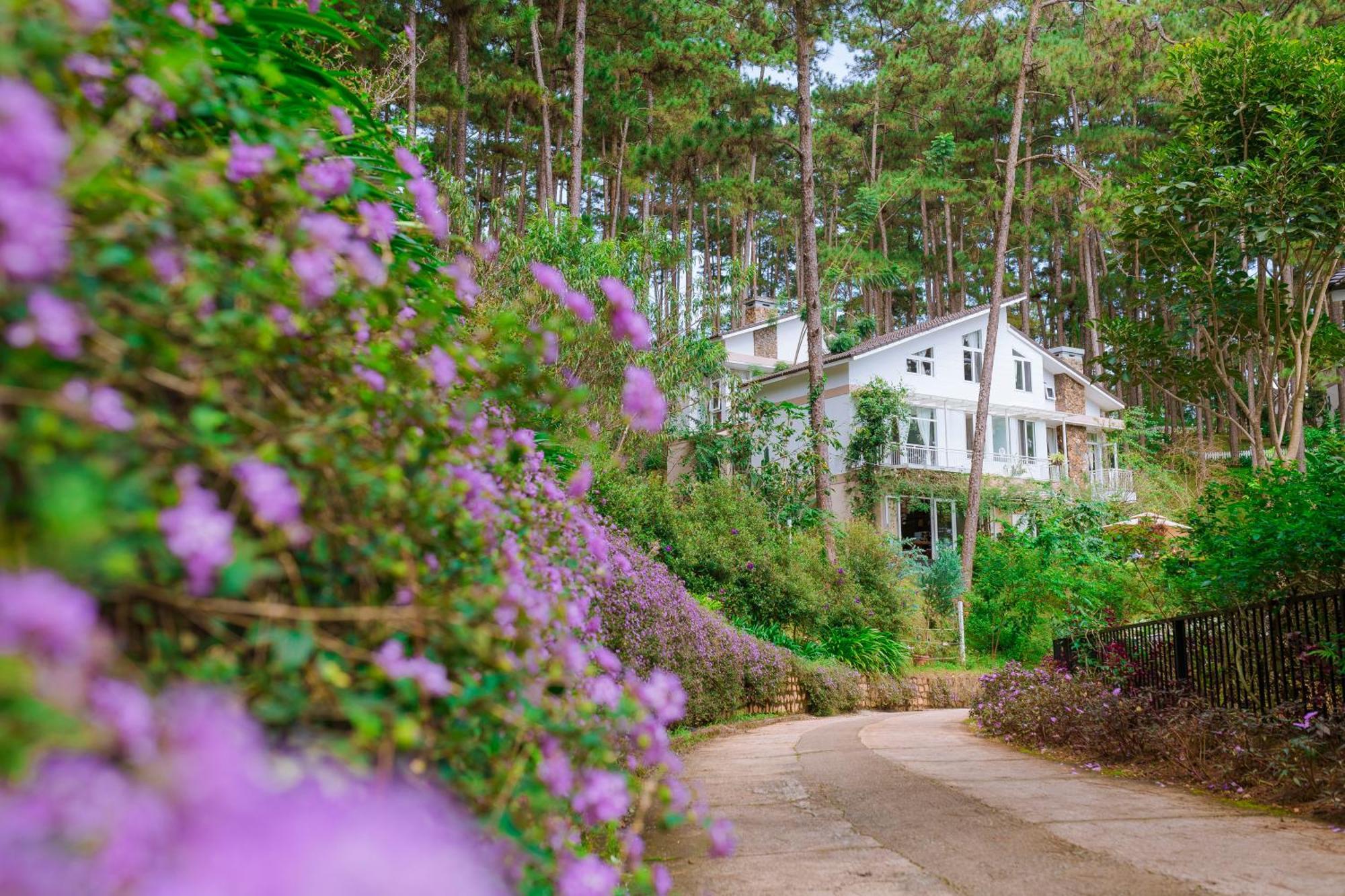 Dahlia Dalat Aparthotel Εξωτερικό φωτογραφία